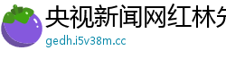 央视新闻网红林先生